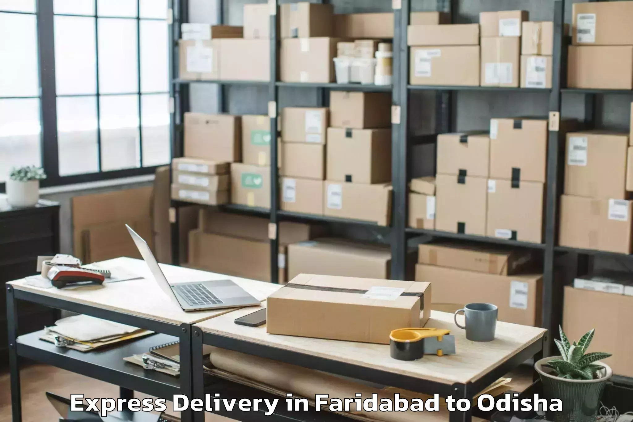 Book Faridabad to Bhawani Mall Express Delivery